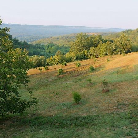 Bolara 60: The Cottage Grožnjan المظهر الخارجي الصورة