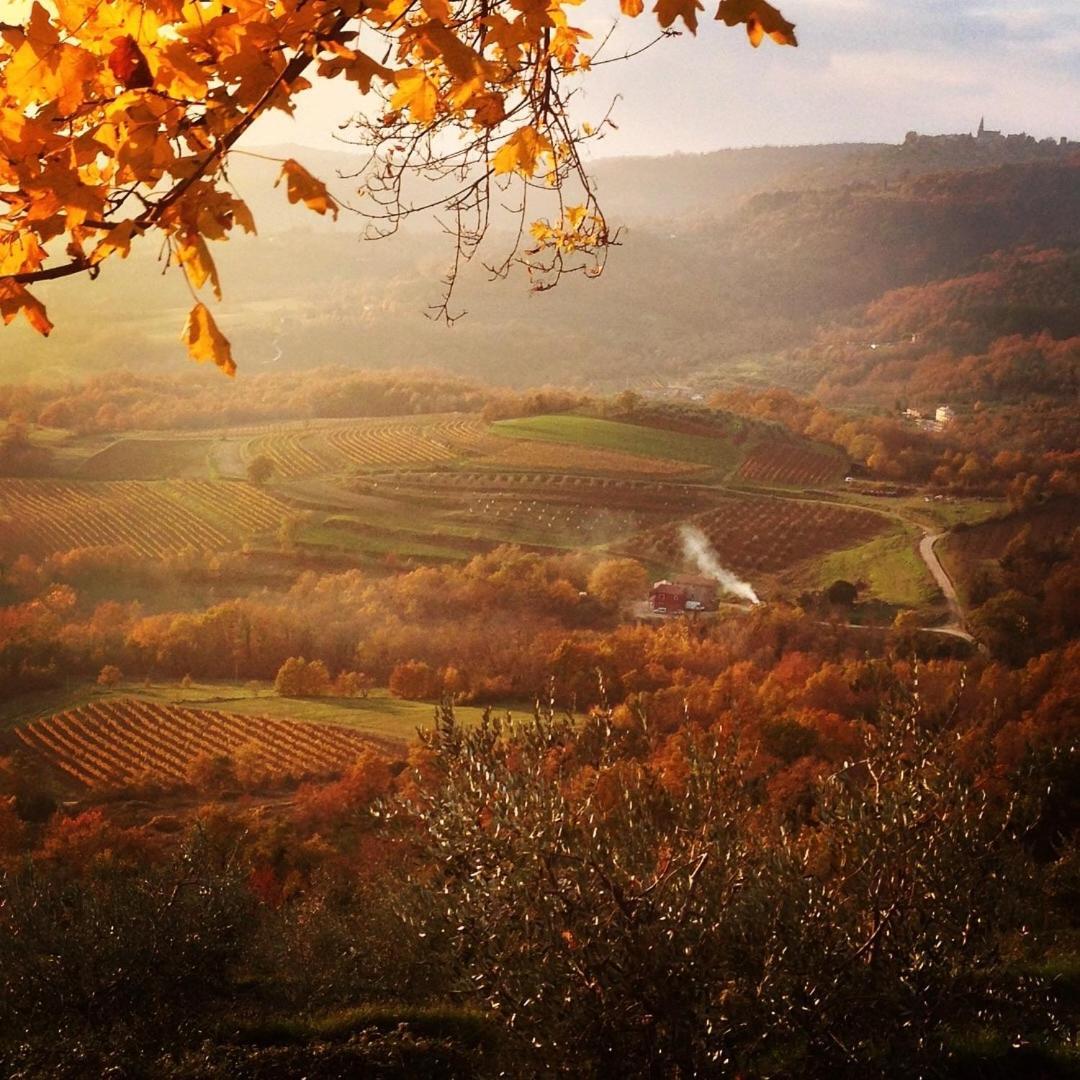 Bolara 60: The Cottage Grožnjan المظهر الخارجي الصورة